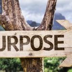 purpose-driven-strategy